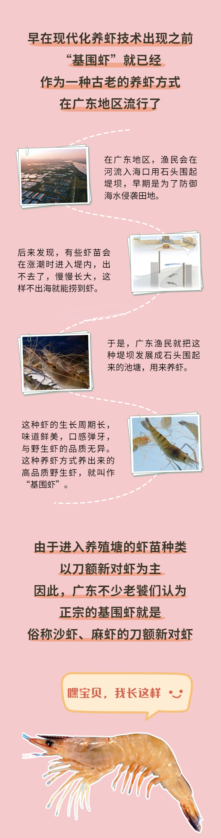 稿定設計-3.jpg