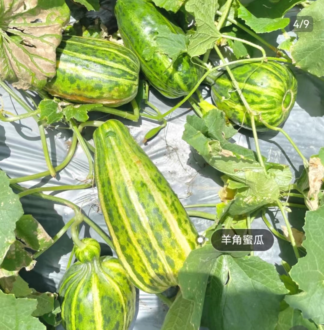 微信圖片_20230724221331.jpg