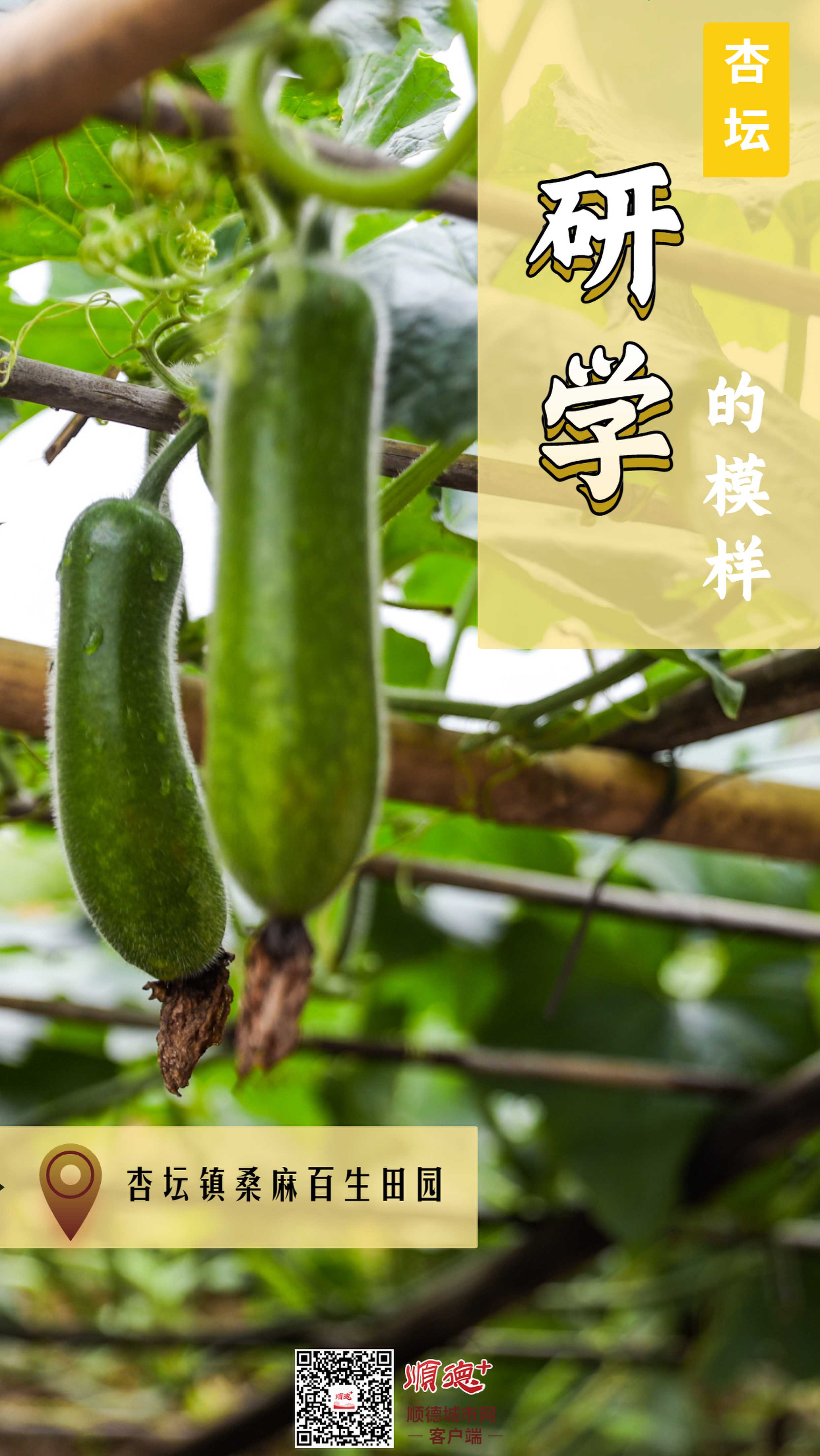 研學7_new.jpg