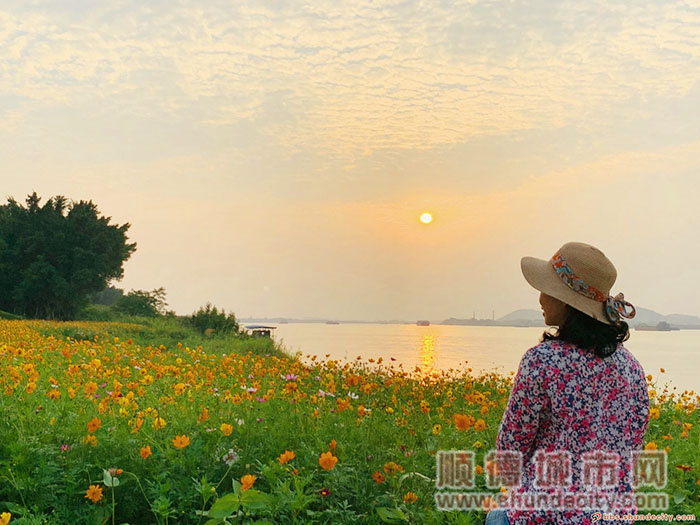 “琴心” 南沙.jpg