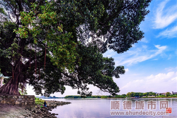 扶闾2（摄影：顺德城市网摄影俱乐部“马彦良”）.jpg