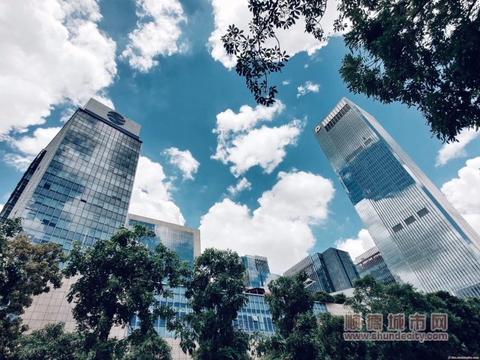 shundeplus/images/article/2023/08/02/b788d20230802111856542439.jpg 2021.6.25大良新城区(savanna 摄)3_副本.jpg