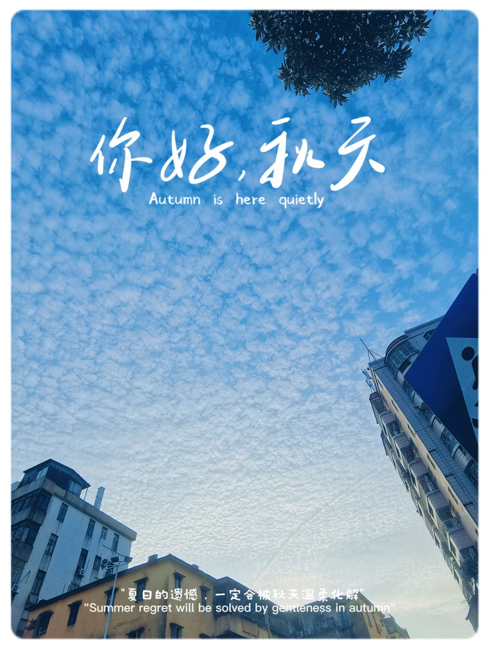 QQ圖片20230808192428_副本.jpg
