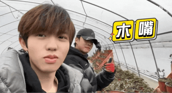 木嘴 (1).gif