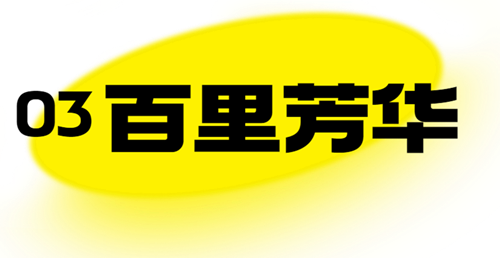 3_副本.png