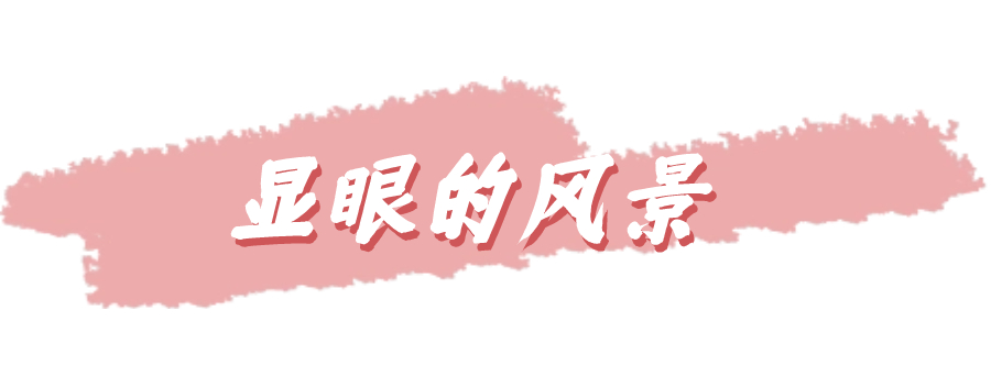 文藝小清新涂鴉文章小標題 (1).jpg