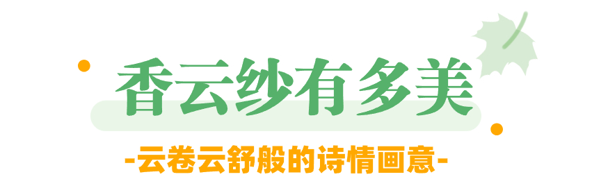 稿定設(shè)計(jì)-1.jpg