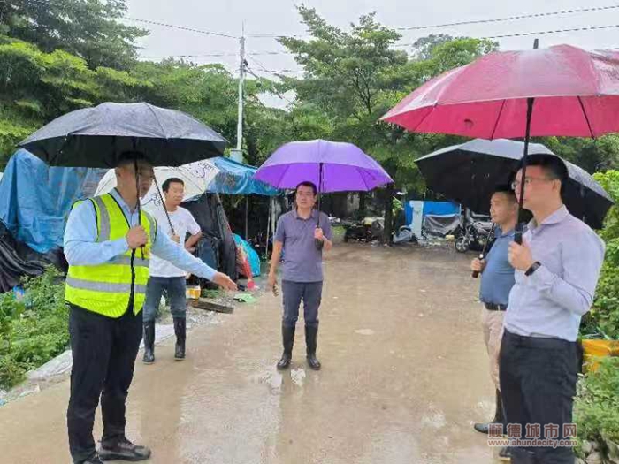 shundeplus/images/article/2023/09/09/2509c20230909114902280972.jpg 图片2.jpg