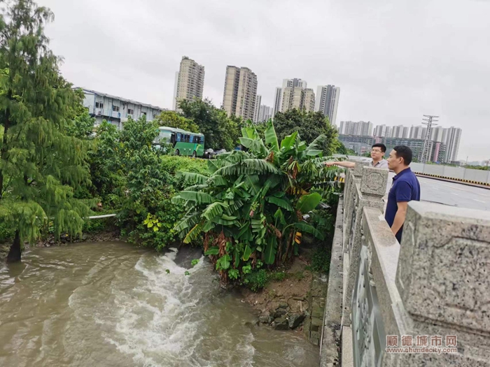 shundeplus/images/article/2023/09/09/cc0a320230909114910482454.jpg 图片5.jpg