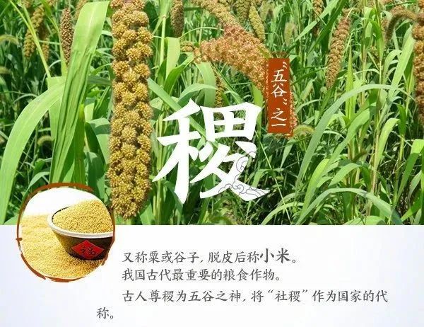 粮食安全宣传周