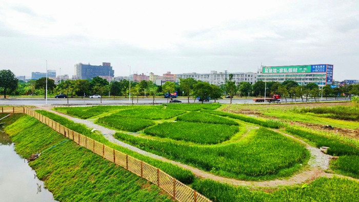 shundeplus/images/article/2023/10/25/3ecdc20231025182755734562.jpg 一道独特的风景线。.jpg