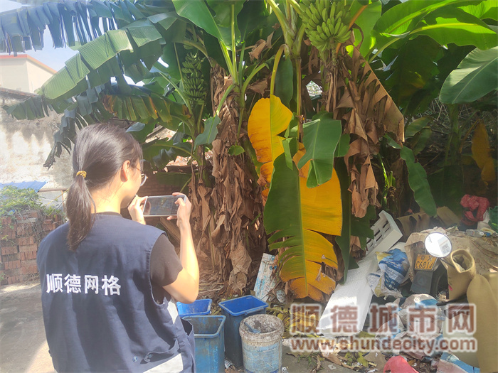 shundeplus/images/article/2023/11/08/4ed3920231108081401766263.jpg abcc5e964169331de052b2d5e3c360d.jpg