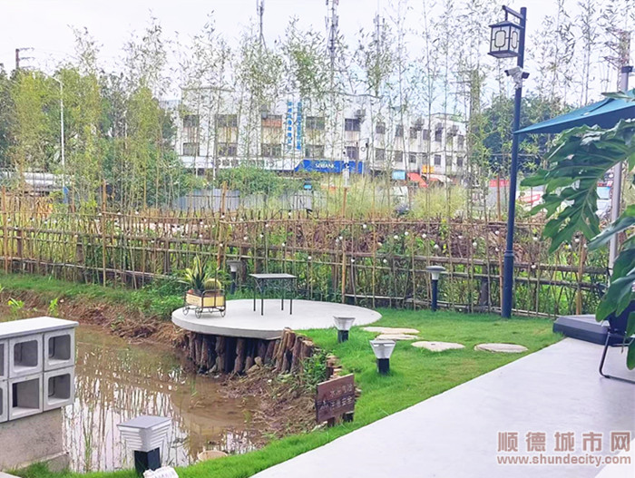 shundeplus/images/article/2023/11/11/3e77220231111091925641452.jpg 199ff81b4e609d88b2b56e0d9b9cacb.jpg