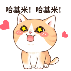 仰望崇拜憧憬星星眼萌宠小猫可爱动态表情包.gif