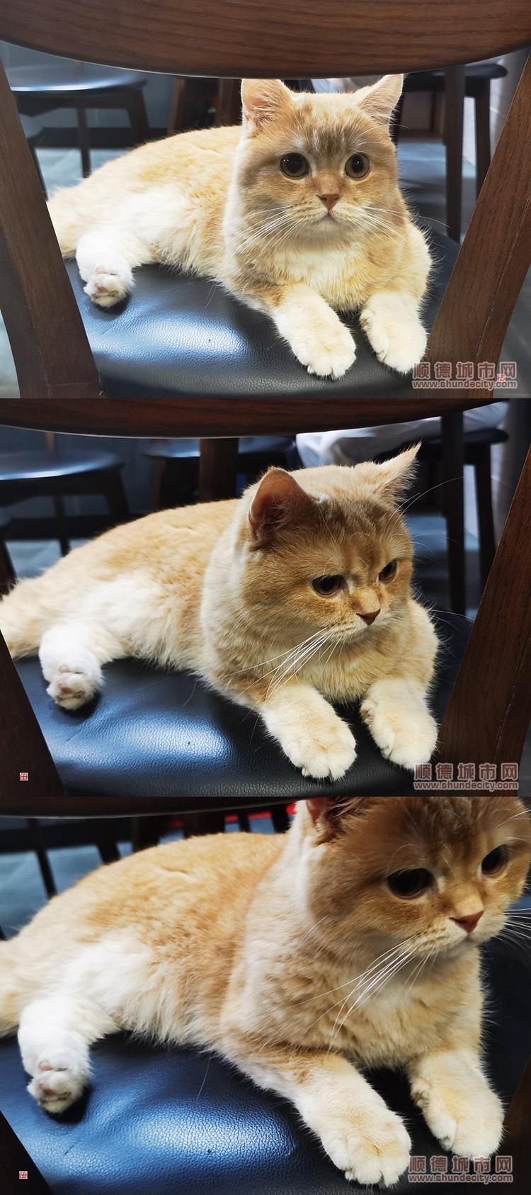 辉ge (4)_副本.jpg