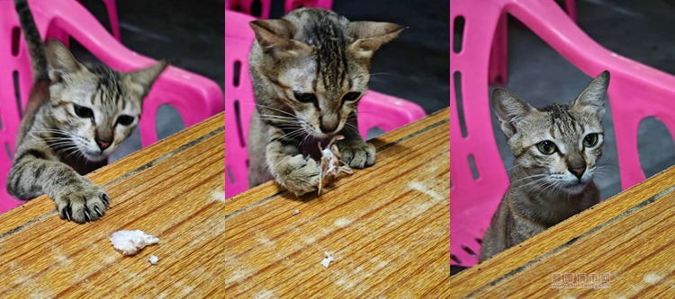 陈明 (2)_副本.jpg