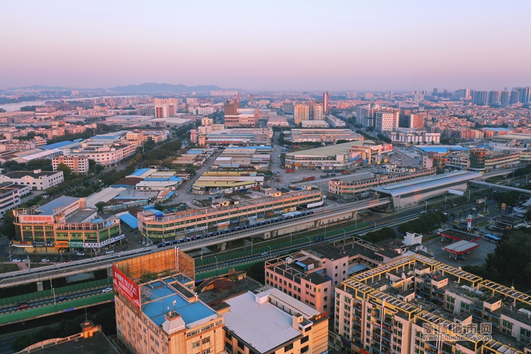 阳光与鹿.jpg