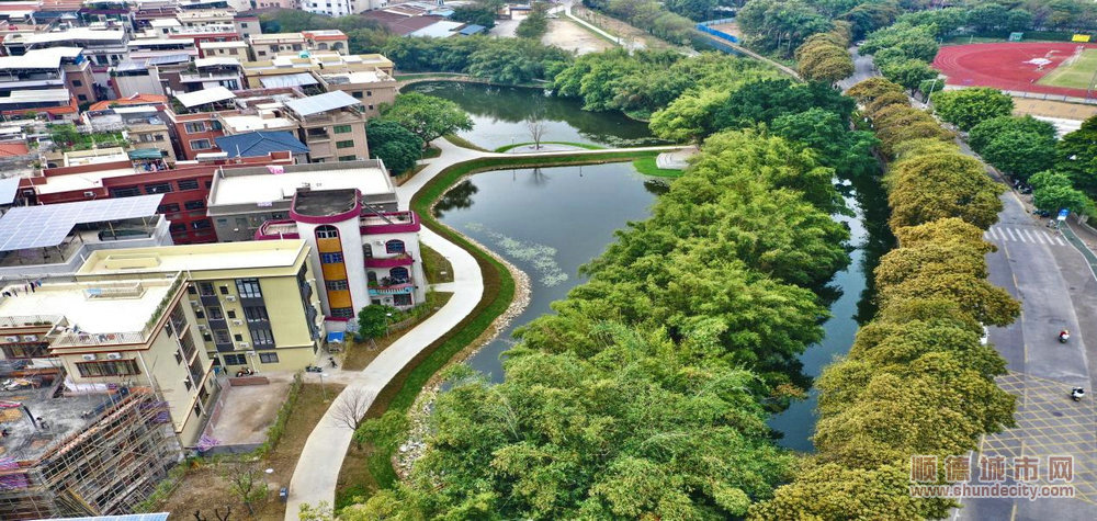 shundeplus/images/article/2024/01/15/020ab20240115172030377492.jpg 沙富变美了。 (1).jpg