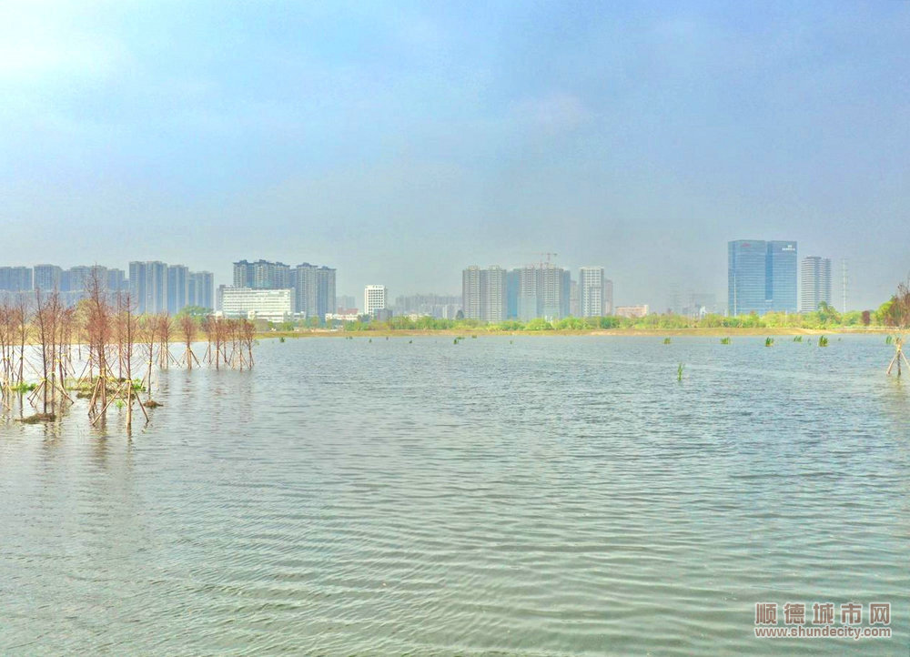 shundeplus/images/article/2024/01/15/2c59720240115172011589943.jpg eca7033e325c87b35438266392c8a179.jpg