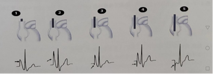 shundeplus/images/article/2024/01/22/2fa9020240122154741960246.jpg 龙江2.png