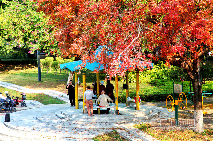 shundeplus/images/article/2024/02/03/1b59320240203190132411413.jpg 图片10.jpg