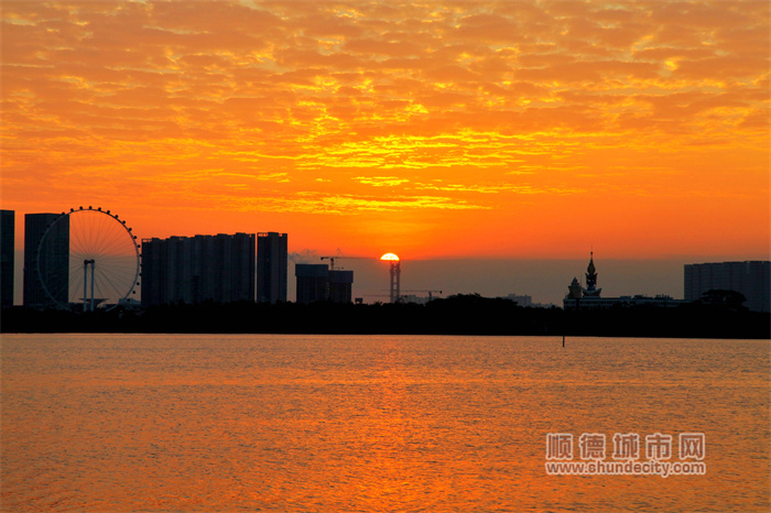 shundeplus/images/article/2024/02/03/283f920240203190213589294.jpg 图片3.jpg