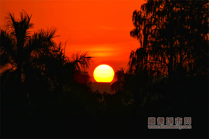 shundeplus/images/article/2024/02/03/a7ead20240203190209607198.jpg 图片4.jpg