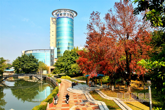 shundeplus/images/article/2024/02/03/d65dd20240203190136353022.jpg 图片9.jpg