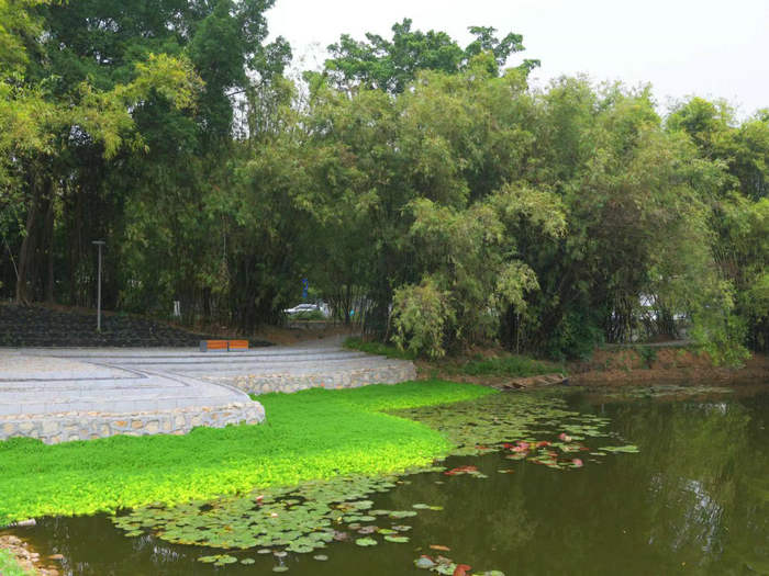 shundeplus/images/article/2024/02/17/bc00a20240217194007275932.jpg 700.jpg