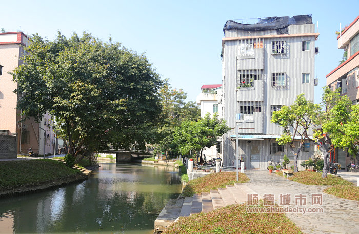 槎涌大石桥路一带河涌沿岸打造成北滘镇“以水兴城”村居河涌美岸提升项目示范点。.JPG