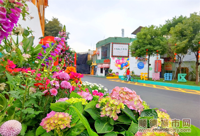 10.东风社区北闸老街通过鲜花点缀成为网红打卡地.jpg