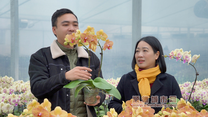 99f984e70b46bc26e7def48369c1b6a_副本.jpg