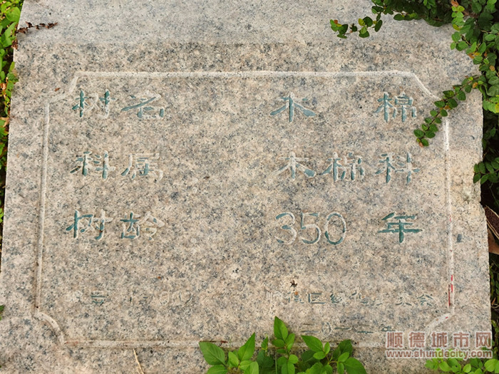 均安1（爱拍摄的卢叔叔）.jpg
