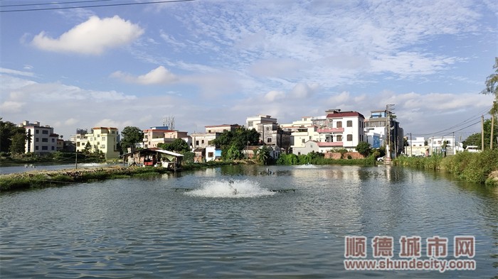 shundeplus/images/article/2024/05/03/5b2db20240503171151305235.jpg 梅2.jpg