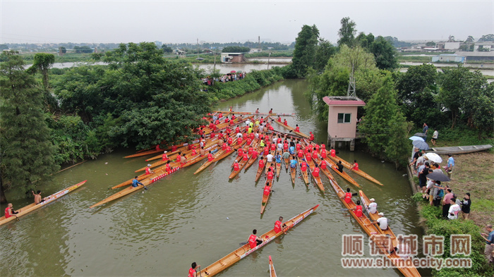 shundeplus/images/article/2024/05/31/8a8b72024053117590292313.jpg 微信图片_20230615144517.jpg