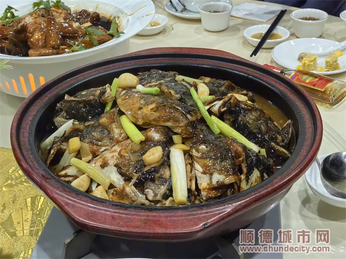 shundeplus/images/article/2024/07/19/cb2f82024071910270962257.jpg 10.jpg