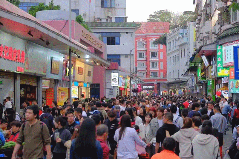 微信图片_20240729114239_副本.gif