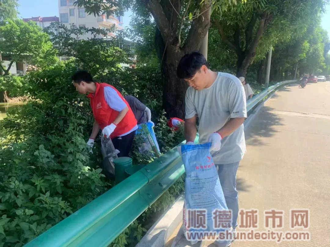 shundeplus/images/article/2024/08/07/2677b20240807201652979528.jpg 微信图片_20240807201147.jpg