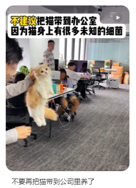 QQ截圖20240816173049.png