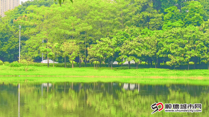 QQ截图20240829200344.png