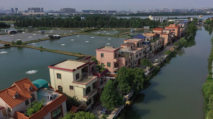江義村自建房2_副本.png