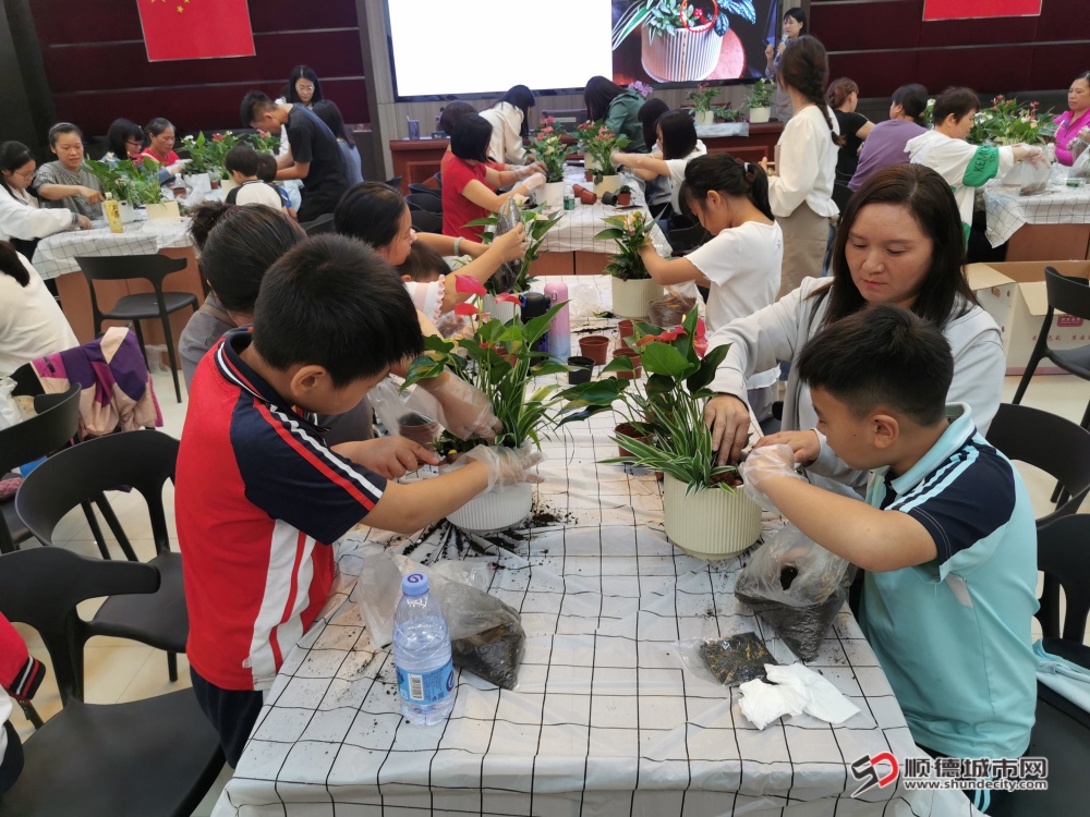 五沙社区开展盆栽种植美学活动——“绿意盎然,美在庭院”1_副本.jpg