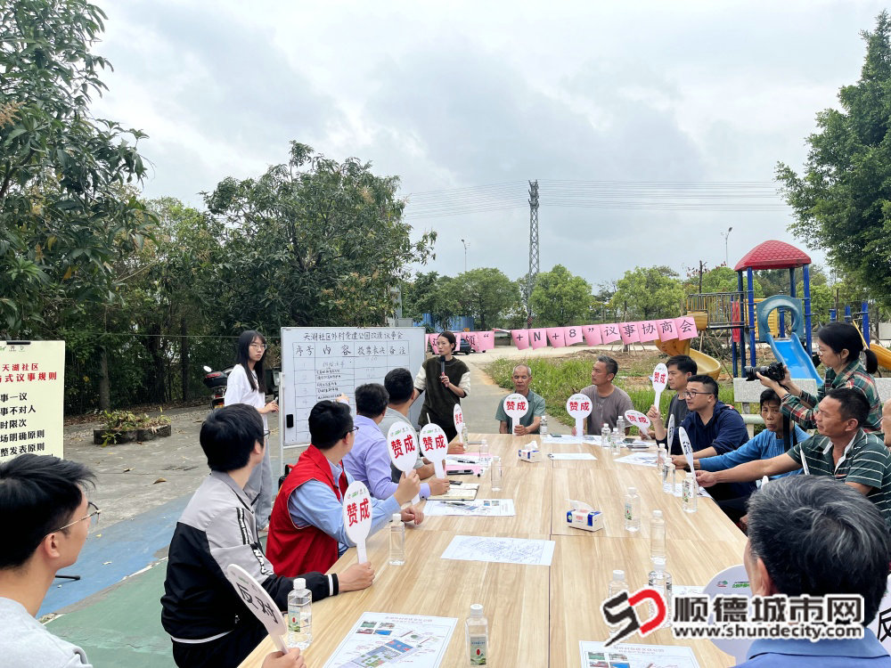 天湖社区外村党建公园改造议事会_副本.jpg
