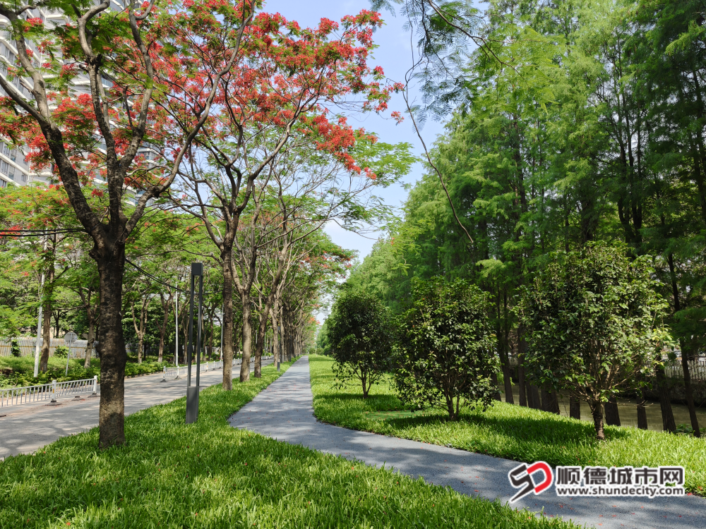 文登河西景观工程。_副本.png