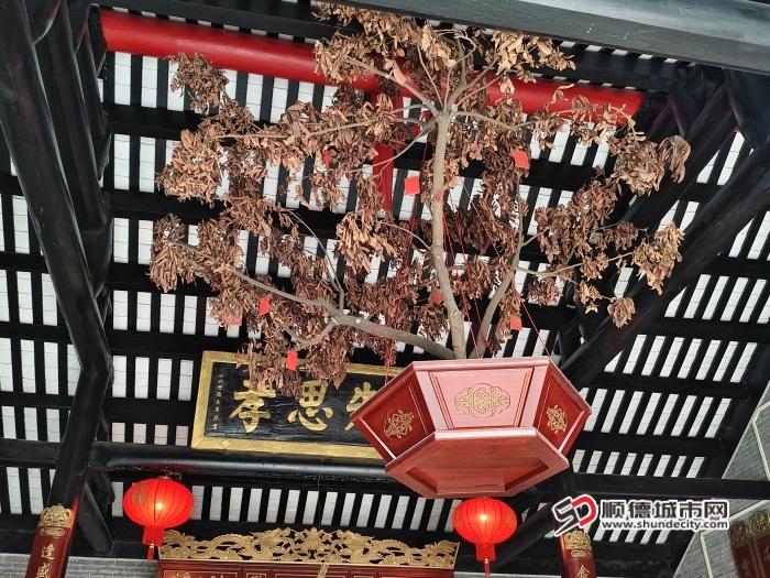 微信图片_20241225085300.jpg