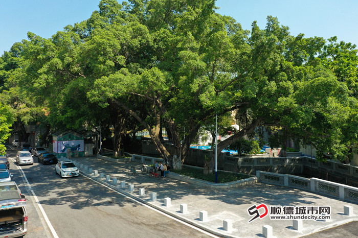 DJI_0584_副本.jpg