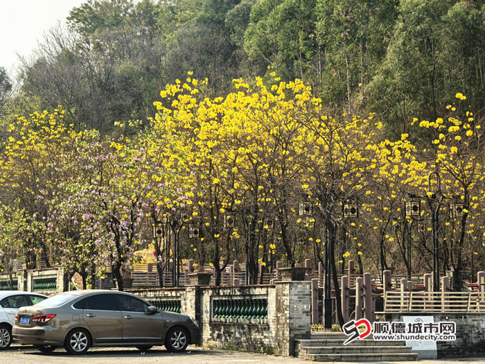 IMG_20250220_150512_副本_副本.jpg