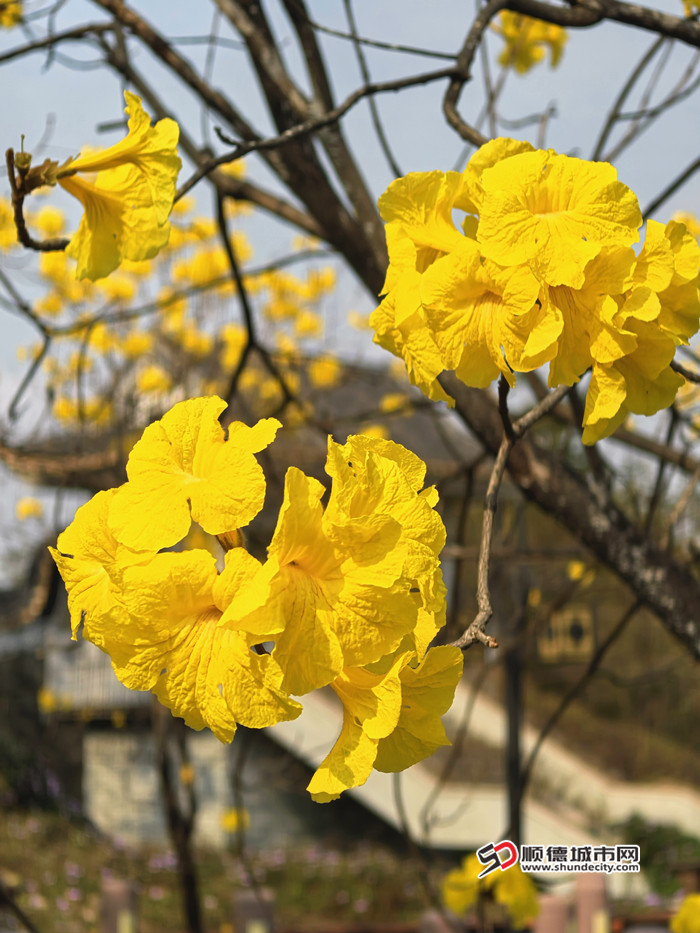IMG_20250220_151851_副本_副本.jpg