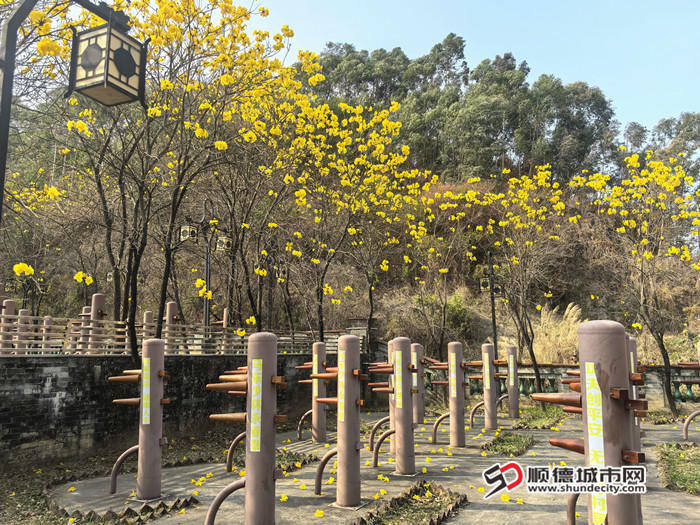 IMG_20250220_153926_副本_副本.jpg