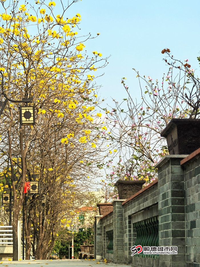 IMG_20250220_160514_副本.jpg